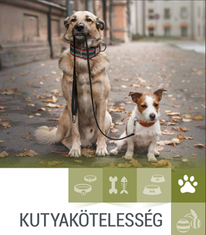 Kutyakötelesség