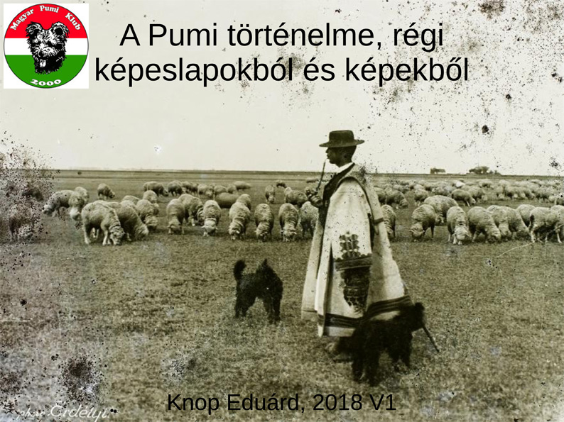 cimlap.jpg