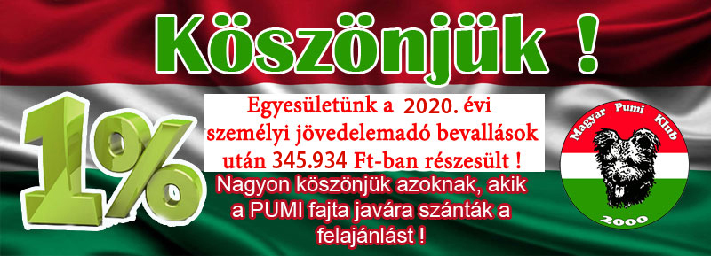 2020-ado.jpg