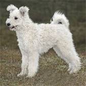apumi-mpk-clip-image030.jpg