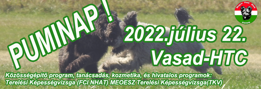 Puminap júliusban